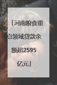 河南粮食重点领域贷款余额超2595亿元