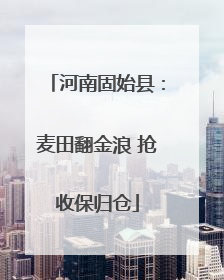 河南固始县：麦田翻金浪 抢收保归仓