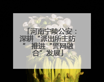 河南宁陵公安：深耕“派出所主防” 推进“警网融合”发展