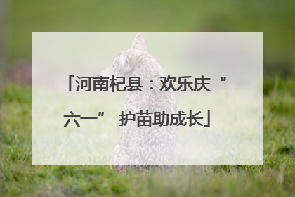 河南杞县：欢乐庆“六一” 护苗助成长