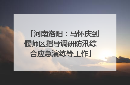 河南洛阳：马怀庆到偃师区指导调研防汛综合应急演练等工作