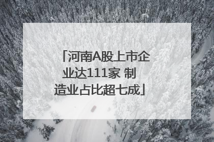 河南A股上市企业达111家 制造业占比超七成