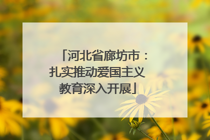 河北省廊坊市：扎实推动爱国主义教育深入开展