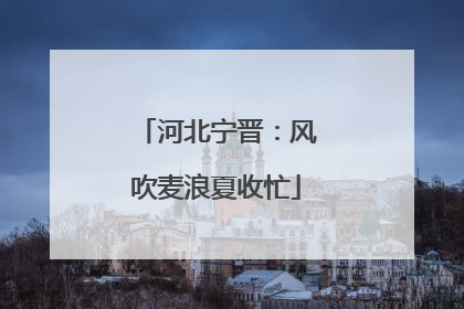 河北宁晋：风吹麦浪夏收忙