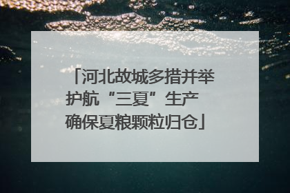 河北故城多措并举护航“三夏”生产 确保夏粮颗粒归仓