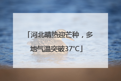 河北晴热迎芒种，多地气温突破37℃