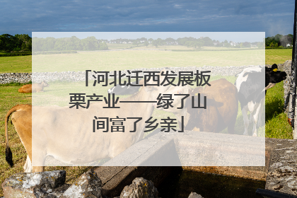 河北迁西发展板栗产业——绿了山间富了乡亲