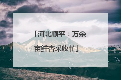 河北顺平：万余亩鲜杏采收忙