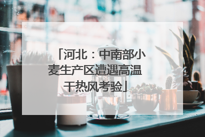 河北：中南部小麦生产区遭遇高温干热风考验