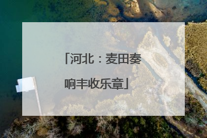 河北：麦田奏响丰收乐章