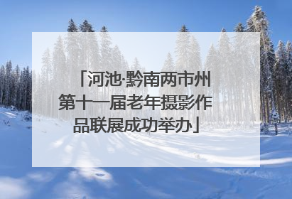 河池·黔南两市州第十一届老年摄影作品联展成功举办