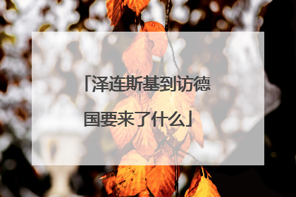 泽连斯基到访德国要来了什么