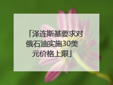 泽连斯基要求对俄石油实施30美元价格上限