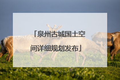 泉州古城国土空间详细规划发布