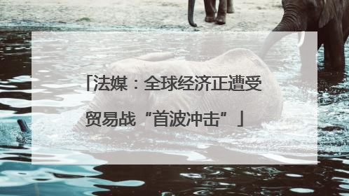 法媒：全球经济正遭受贸易战“首波冲击”