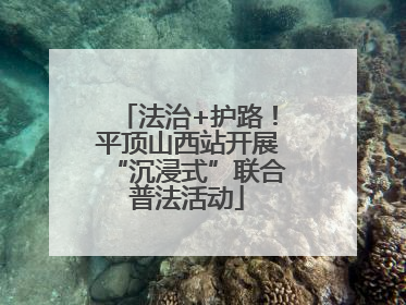 法治+护路！平顶山西站开展“沉浸式”联合普法活动