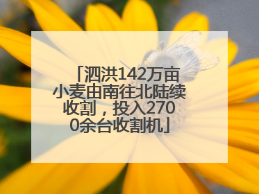 泗洪142万亩小麦由南往北陆续收割，投入2700余台收割机