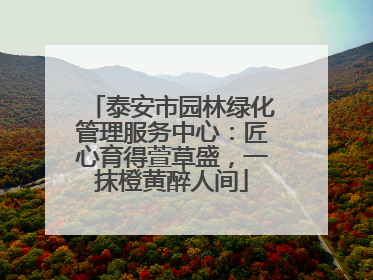 泰安市园林绿化管理服务中心：匠心育得萱草盛，一抹橙黄醉人间
