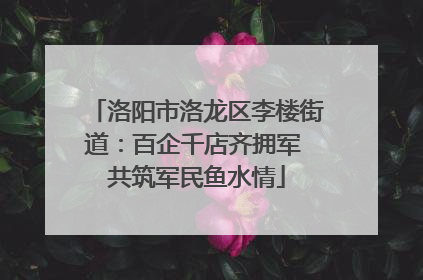 洛阳市洛龙区李楼街道：百企千店齐拥军 共筑军民鱼水情