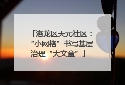 洛龙区天元社区：“小网格”书写基层治理“大文章”
