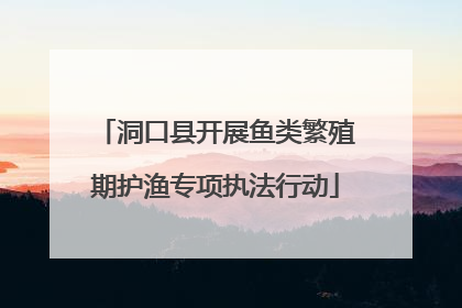 洞口县开展鱼类繁殖期护渔专项执法行动