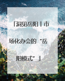 洞见岳阳丨市场化办会的“岳阳模式”