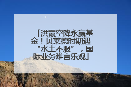 洪霞空降永赢基金！贝莱德时期遇“水土不服”，国际业务难言乐观