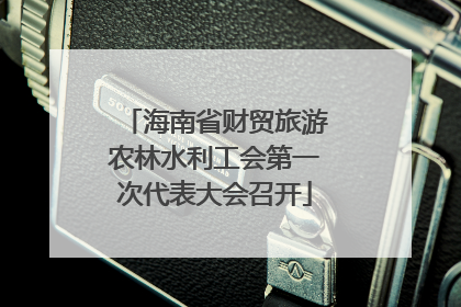 海南省财贸旅游农林水利工会第一次代表大会召开