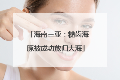 海南三亚：糙齿海豚被成功放归大海