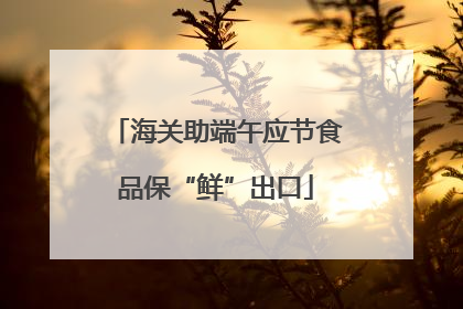 海关助端午应节食品保“鲜”出口
