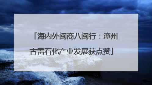 海内外闽商八闽行：漳州古雷石化产业发展获点赞