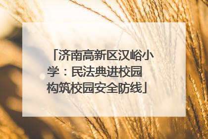 济南高新区汉峪小学：民法典进校园 构筑校园安全防线