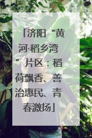 济阳“黄河·稻乡湾”片区：稻荷飘香、善治惠民、青春激扬