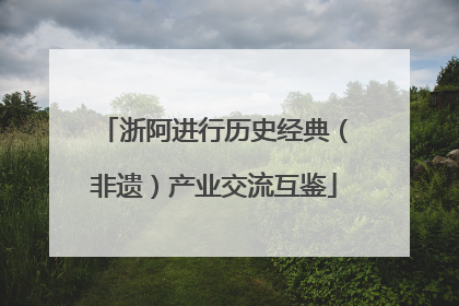 浙阿进行历史经典（非遗）产业交流互鉴