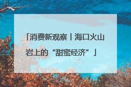 消费新观察丨海口火山岩上的“甜蜜经济”