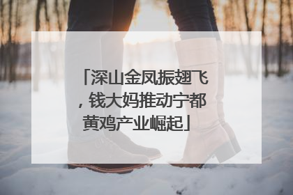 深山金凤振翅飞，钱大妈推动宁都黄鸡产业崛起