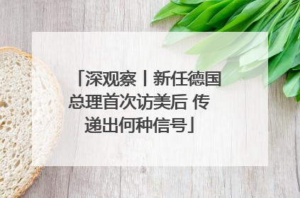 深观察丨新任德国总理首次访美后 传递出何种信号