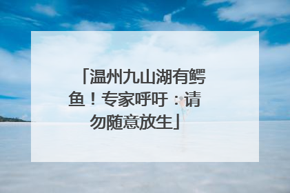 温州九山湖有鳄鱼！专家呼吁：请勿随意放生