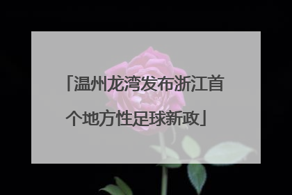 温州龙湾发布浙江首个地方性足球新政