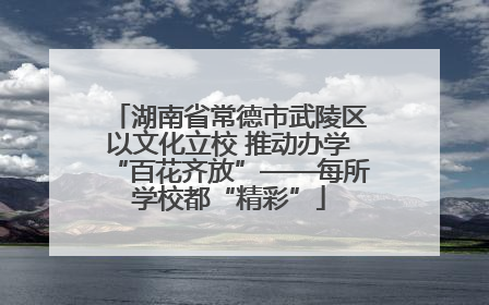 湖南省常德市武陵区以文化立校 推动办学“百花齐放”——每所学校都“精彩”
