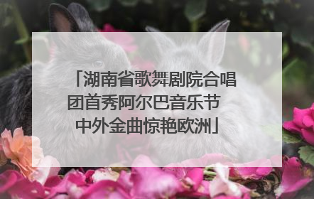 湖南省歌舞剧院合唱团首秀阿尔巴音乐节 中外金曲惊艳欧洲