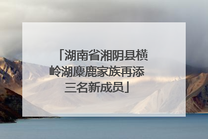 湖南省湘阴县横岭湖麋鹿家族再添三名新成员