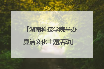 湖南科技学院举办廉洁文化主题活动