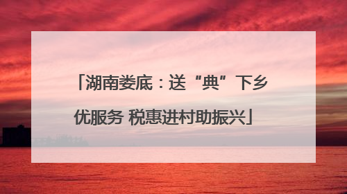 湖南娄底：送“典”下乡优服务 税惠进村助振兴