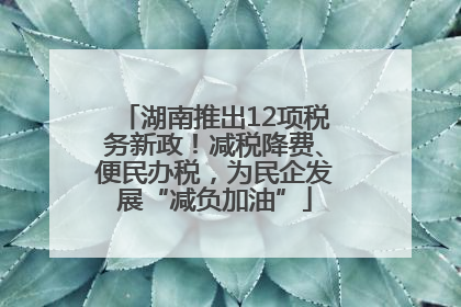湖南推出12项税务新政！减税降费、便民办税，为民企发展“减负加油”