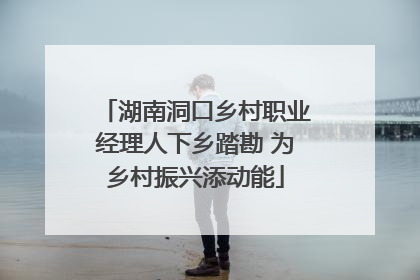 湖南洞口乡村职业经理人下乡踏勘 为乡村振兴添动能
