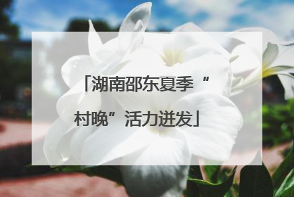 湖南邵东夏季“村晚”活力迸发
