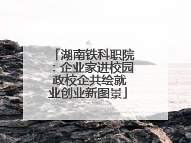 湖南铁科职院：企业家进校园 政校企共绘就业创业新图景