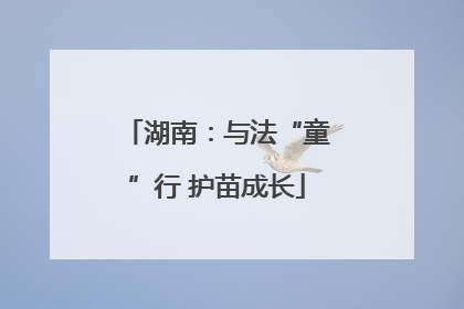 湖南：与法“童”行 护苗成长