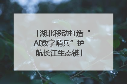 湖北移动打造“AI数字哨兵”护航长江生态链